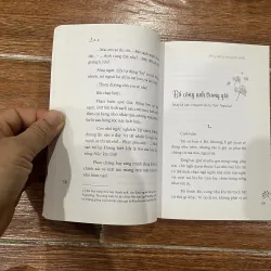 Ruy băng vàng phơ phất - Lax (15) 975797