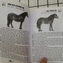 NGỰA & NGỰA TƠ- Nhận dạng 108 loại ngựa trên thế giới. Dịch từ t. Pháp. Tg  David Burn 792190