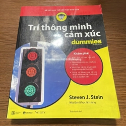 Trí thông minh cảm xúc dummies Steven J. Stein 357254