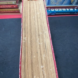 Thể thao và văn hoá Thông tấn xã Việt Nam 1988 302986