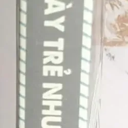 Ngày Trẻ Như Dương Cầm - Nhiều Tác Giả 707812