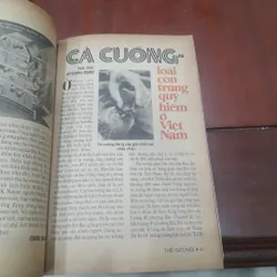 THẾ GIỚI MỚI số 250 ngày 25.8.1997 597845