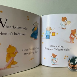 📗The Beginner's Guide to Bears 527353