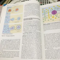 HUMAN ANATOMY AND PHYSIOLOGY – Elaine N. Marieb (Second Edition) 799234