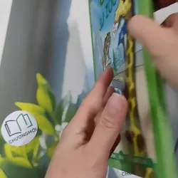 [MIỄN PHÍ BỌC SÁCH] 50 Surprises Au Zoo ( Pháp) 990375