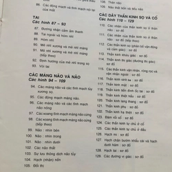 2. ATLAS GIẢI PHẪU NGƯỜI  470949