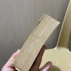 Ốc sên chạy - Điệp Chi Linh 970355