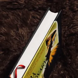 Bà Bovary (bìa cứng) 737310