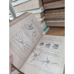 Chirurgie de l'abdomen - Jean Quénu, René Kuss 1025864