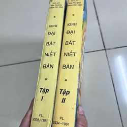 Trọn bộ kinh đại niết bàn  553423