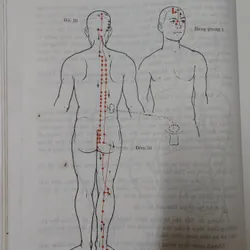 CHÂM CỨU HỌC Trung QUỐC  674270