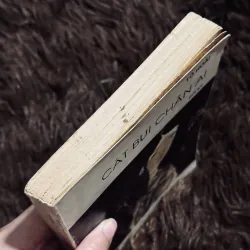 Cát bụi chân ai 936248