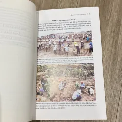 PHÁT LỘ DI TÍCH HOÀNG THÀNH THĂNG LONG (EFEO XIII) 1020087