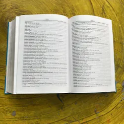 TỪ ĐIỂN VIỆT- ANH MODERN DICTIONARY- QUANG HÙNG 689626