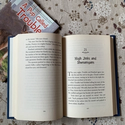 Sách ngoại văn A Pup Called Trouble, Used, Bìa cứng, Fiction For Young Adult 446629