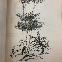 Trình Phố – Ngô Văn (Nhà xuất bản Văn học) 998489