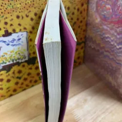 Một Ngày Mưa Đẹp Trời - Éric-emmanuel Schmitt 927992