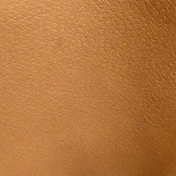 Celine Bag - Hàng hiệu Authentic 764394