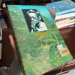 Sơn Nam – Dạo Chơi Tuổi Già | Tản văn Nam Bộ sâu sắc, mộc mạc- 994705