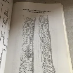 Văn hoá đồng bằng Nam bộ (di tích kiến trúc cổ)  785035