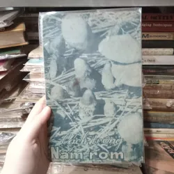 Cách trồng nấm rơm 📚