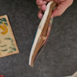 Nghệ thuật hoa khô nhật bản - nghệ thuật cắm hoa nhật bản 746034