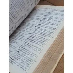 Maxi débutants le dictionaire CE 2, CM (20000 mots) - Larousse 726332