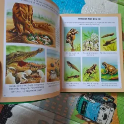 Thế giới hình ảnh của bé - Thế giới tự nhiên 975675