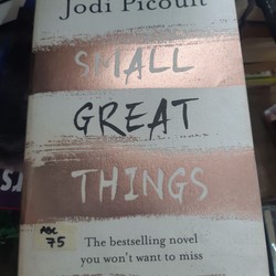 Small Great Things - Jodi Picoult