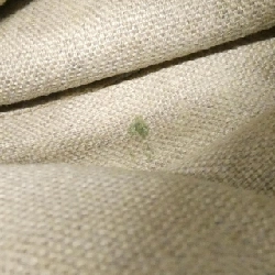 Gucci 137621 Túi - Hàng hiệu Chính hãng 765361