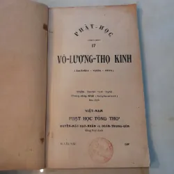 VÔ LƯỢNG THỌ KINH - ĐOÀN TRUNG CÒN, HUYỀN MẶC ĐẠO NHÂN 759231