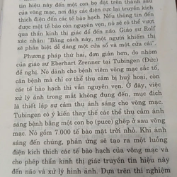 KHI PHÉP LẠ TRỞ THÀNH HIỆN THỰC 544138