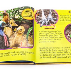 Bộ sách National Geographic Little Kids First Big Book (9 quyển tiếng Anh) 385524