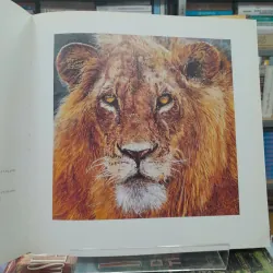 RELECTIONS OF NATURE: PAINTINGS BY JOSEPH RAFFAEL 572649
