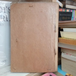 Hoa Ngọc Lan Nhà Ai (II) 📚 501349
