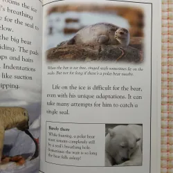 COMBO 3Q DK READERS - Extreme Sports & Polar Bear Alert & Days of the Knights • Level 3, 4 751324