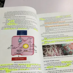 BÀI GIẢNG LÝ THUYẾT GIẢI PHẪU BỆNH  780441