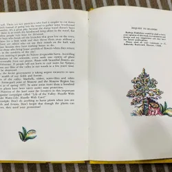 The Magic Tree (Cây thần kỳ) Bìa cứng  599391