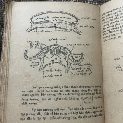 TRƯỜNG ĐẠI HỌC Y DƯỢC TP. HỘ CHÍ MNH - GIẢI PHẨU BỆNH HỌC - 500 trang  1007036