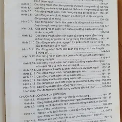 GIẢI PHẪU ĐẦU MẶT CO 752816