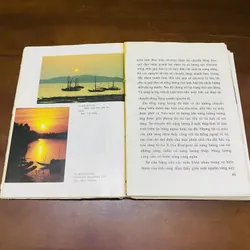 Nghệ thuật nhiếp ảnh màu - Trần Mạnh Thường 605172