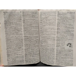 Webster's New World College Dictionary 1008365