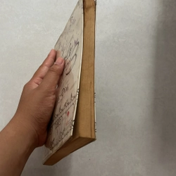 Hôn lễ tháng 3 — Tào Đình — 2014s 499621