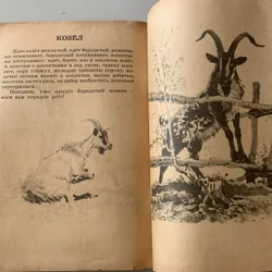 Sách tiếng Nga 708482