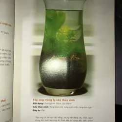 Cây cảnh trong nước - Trồng và chăm sóc 100 loại cây cảnh trong nước  732804