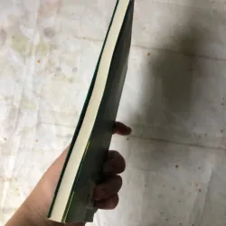 Gió Đông Rưng Rức - Hoàng Lệ Thủy 800987