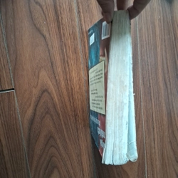 Cô gái mất tích và sự trở về kì lạ 524994
