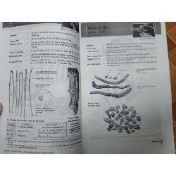 Remake Nhận diện được liệu - 547 trang (Sách Y học - Sức khỏe - Thể thao) ANTQ1304 1012654