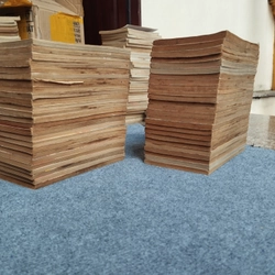 HỘI MẮT NAI (CHỊ EM GÁI PHẦN 2) 504862