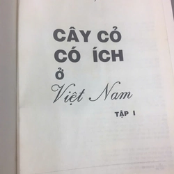 CÂY CỎ CÓ ÍCH Ở VIỆT NAM 528968